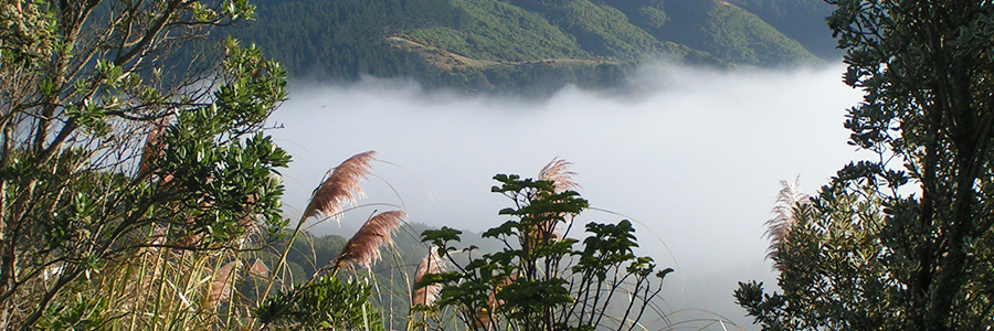 John Melville Consulting